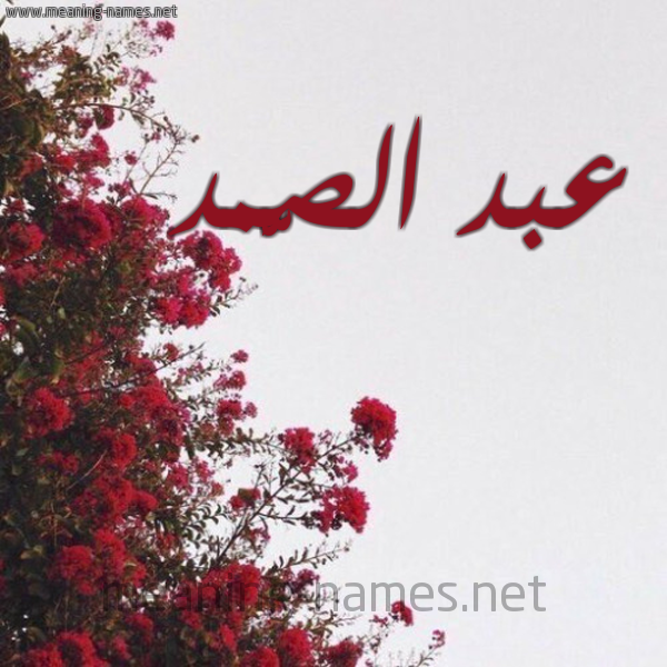 شكل 18 صوره الورد الأحمر للإسم بخط رقعة صورة اسم عبد الصَّمد ABD-ALSAMD